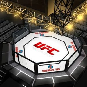 ufc-style-octagon-fighting-arena-3d-model-max